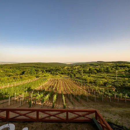 Edelin Wine House Apartamento Edelény