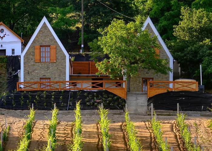 Διαμέρισμα Edelin Wine House *