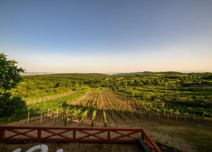 Edelin Wine House Lägenhet Edelény